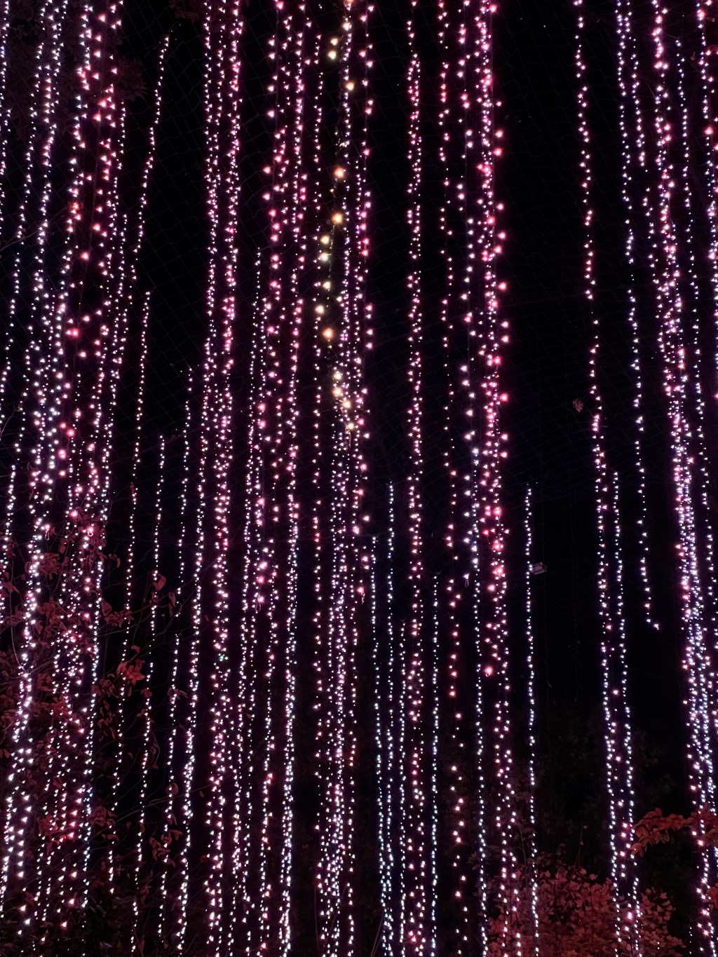 Atlanta Botanical Gardens Holiday&nbsp;Lights